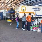 Adamantina realiza mutirão de castração e beneficia 234 cães e gatos