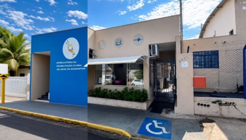 Apae de Adamantina realiza 33º Leilão de Gado em prol dos atendimentos