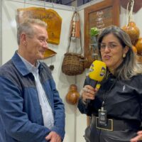 Noticias Feed Responsivo (16)
