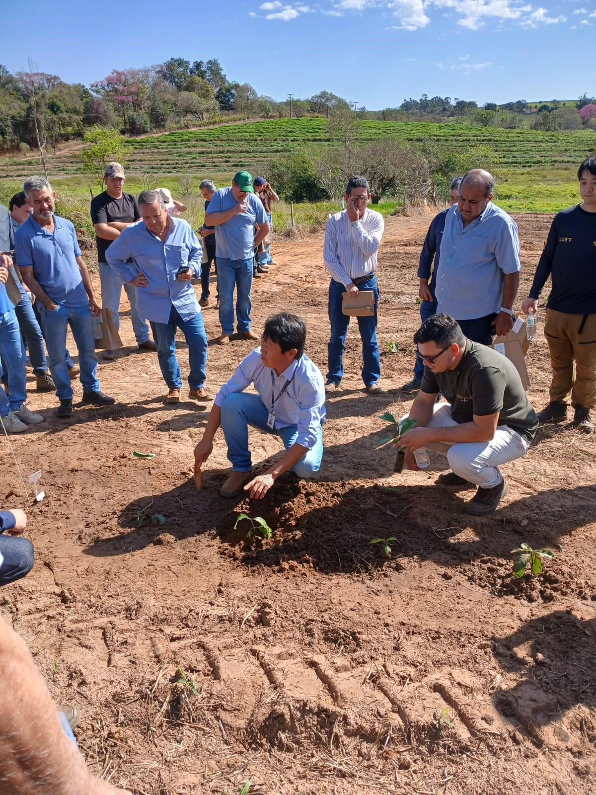 Prefeitura de Adamantina participa de Dia de Campo sobre colheita do Café Robusta