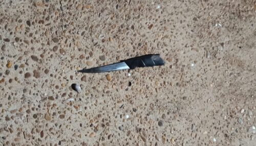 Polícia Militar apreende adolescente após ato infracional de homicídio em Flórida Paulista