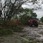 Chuvas com vento derrubam árvores e interditam parcialmente vicinal entre Adamantina e Lucélia