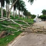 Defesa Civil atualiza balanço dos impactos das fortes chuvas em Adamantina