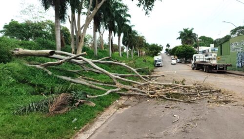Defesa Civil atualiza balanço dos impactos das fortes chuvas em Adamantina