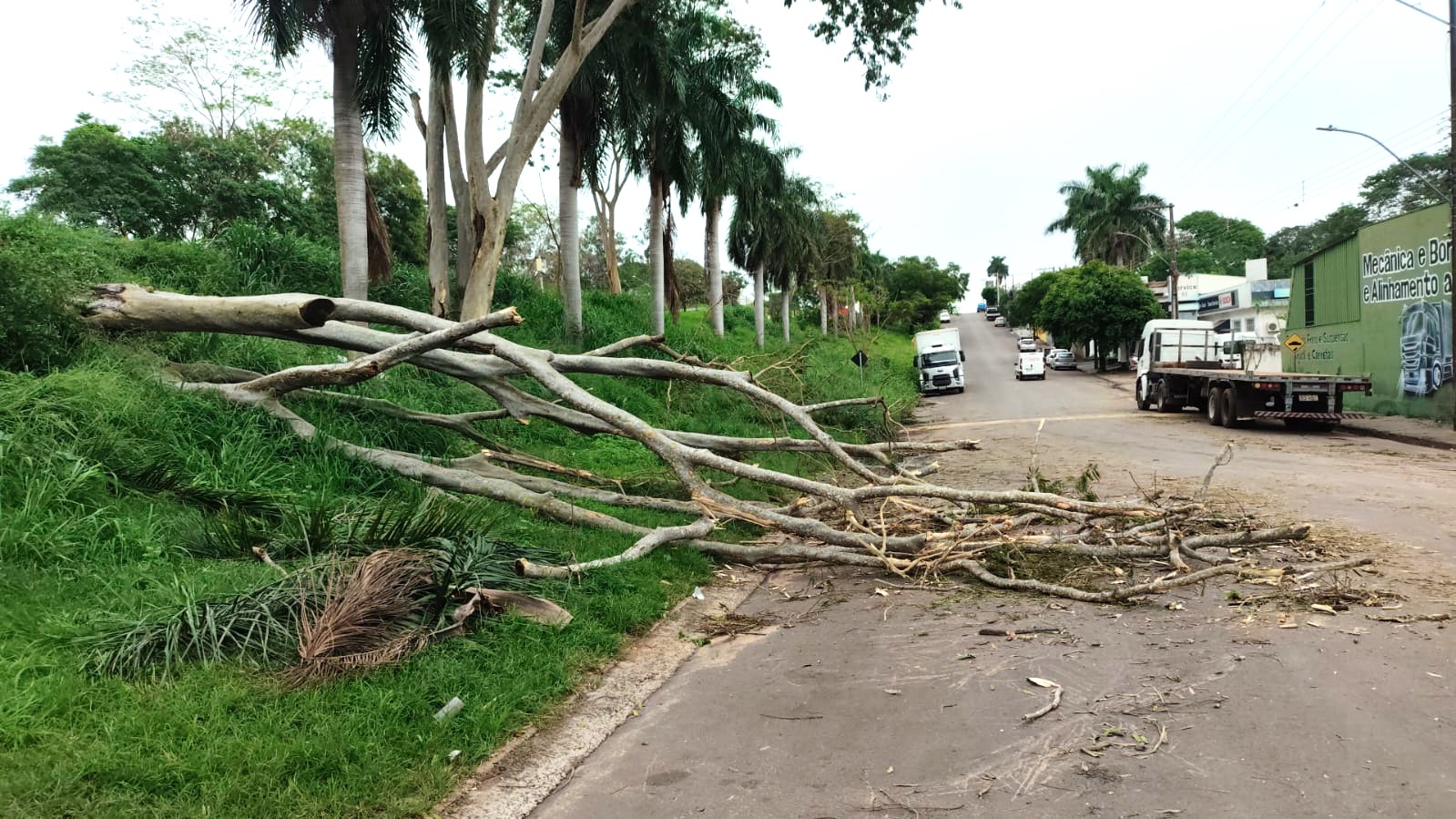 Defesa Civil atualiza balanço dos impactos das fortes chuvas em Adamantina