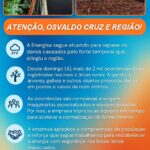 Energisa reforça equipes para restabelecer energia após temporal na região